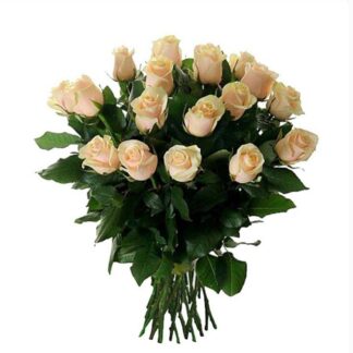 доставка роз по москве, цветы москва, доставка букетов по москве, цветы на 8 марта, 8 марта, розы кремового цвета, букет из роз кремового цвета, цветы, preferito